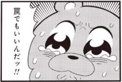 40666 B