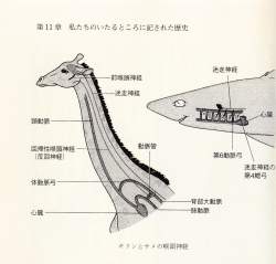 396533 B