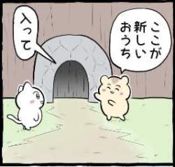 14961 B