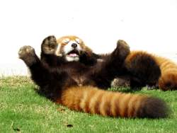 589937 B