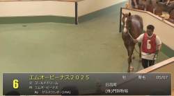 73408 B