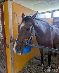 154319 B