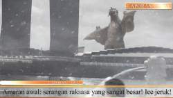115716 B