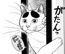 55778 B