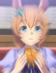 52893 B