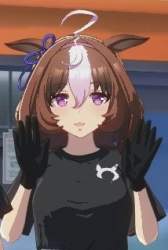 29136 B