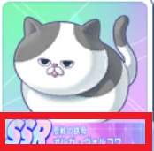 54995 B