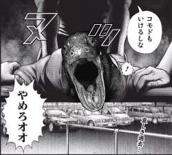 73029 B