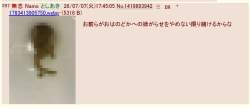 43197 B