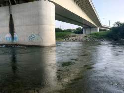 4562692 B