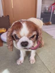 324700 B