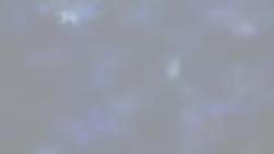1825981 B