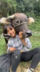 4777844 B