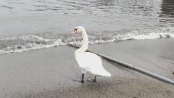 1720360 B