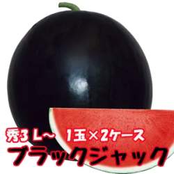 13898 B