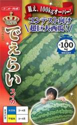 76931 B
