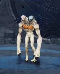 79983 B
