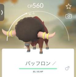 71029 B