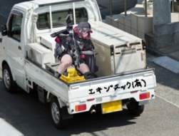 43243 B