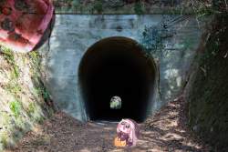 3647791 B