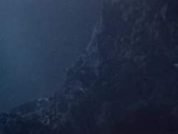 8021135 B