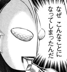 45571 B