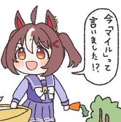 43482 B