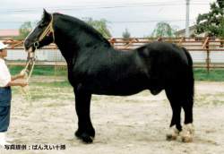 126516 B