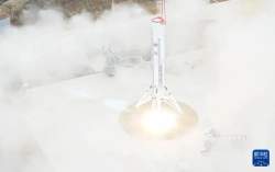 276015 B