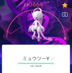 3146599 B