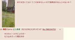 267995 B