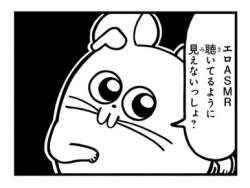 53394 B