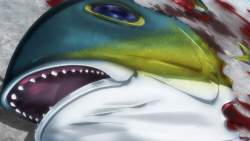 232791 B