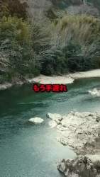 4457529 B
