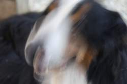 365331 B