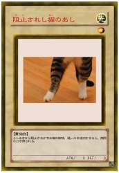 50805 B