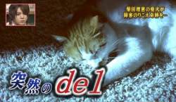 85753 B