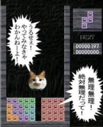 88040 B