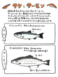 151228 B