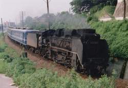 50629 B