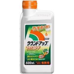 55688 B
