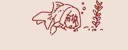 26036 B