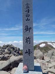 3172363 B