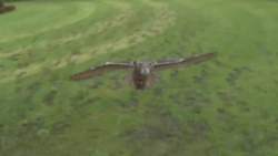 1424771 B