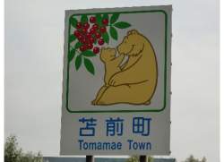 73379 B