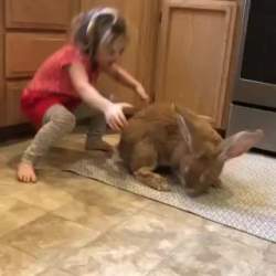 1203854 B