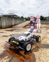 2239512 B