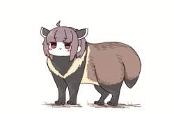 80771 B
