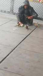 8070782 B