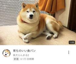 133784 B